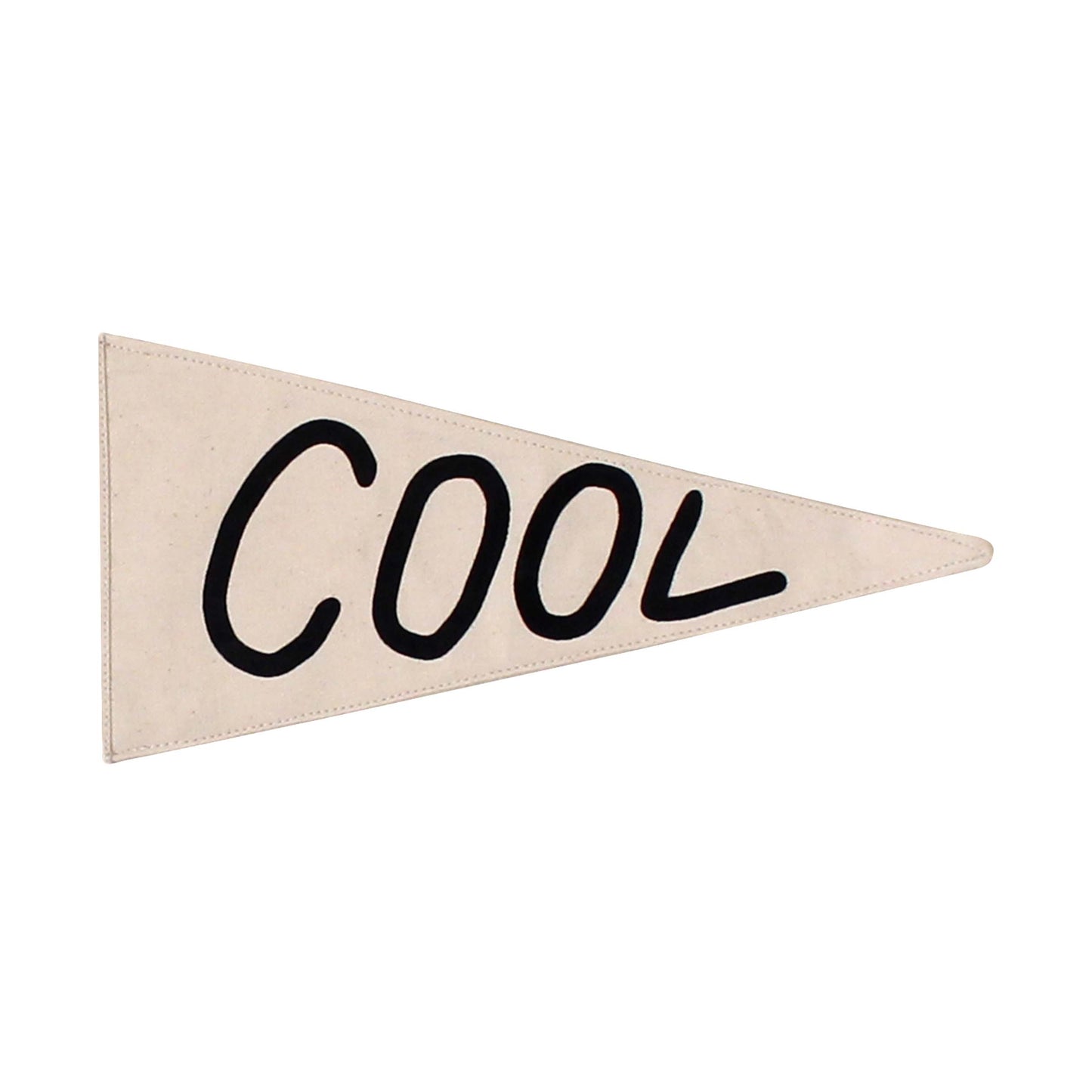 Cool Pennant Flag